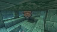 Elder Guardians also drop the block (Image via Minecraft 1.18.2)